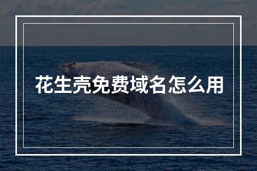 花生壳免费域名怎么用