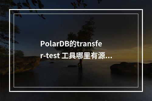 PolarDB的transfer-test 工具哪里有源码可以下载么?