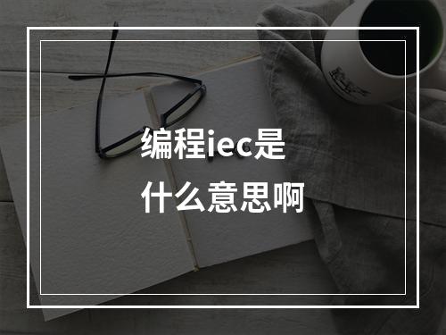 编程iec是什么意思啊