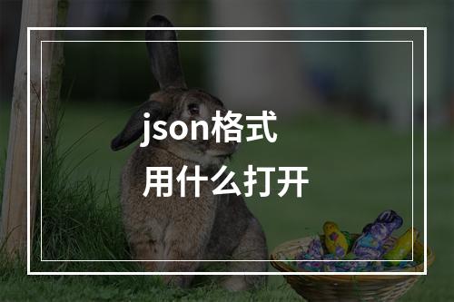 json格式用什么打开