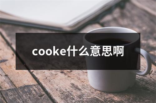 cooke什么意思啊
