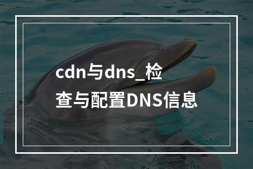 cdn与dns_检查与配置DNS信息
