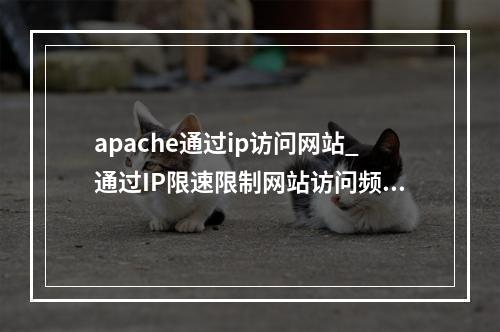 apache通过ip访问网站_通过IP限速限制网站访问频率