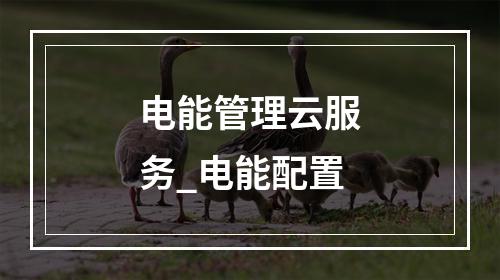 电能管理云服务_电能配置