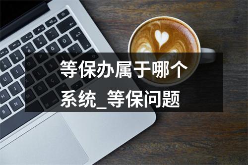等保办属于哪个系统_等保问题
