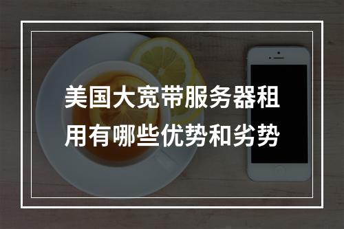 美国大宽带服务器租用有哪些优势和劣势
