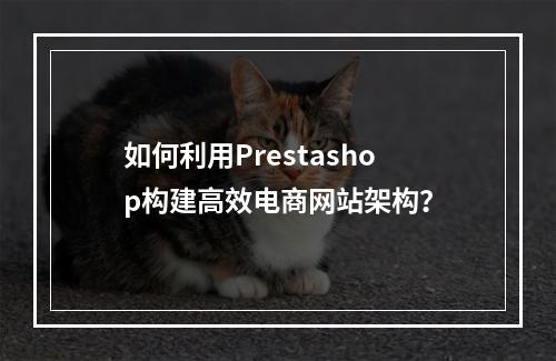 如何利用Prestashop构建高效电商网站架构?