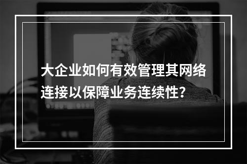 大企业如何有效管理其网络连接以保障业务连续性?