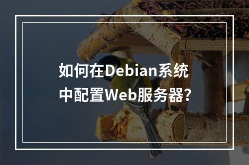 如何在Debian系统中配置Web服务器?