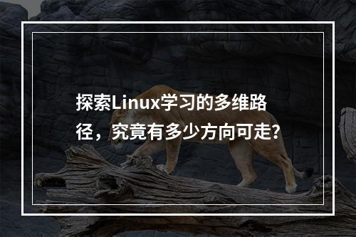 探索Linux学习的多维路径,究竟有多少方向可走?