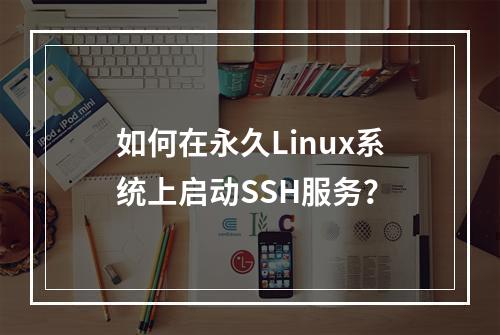 如何在永久Linux系统上启动SSH服务?