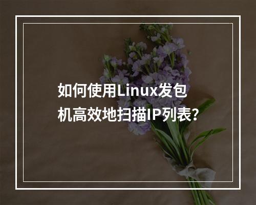 如何使用Linux发包机高效地扫描IP列表?