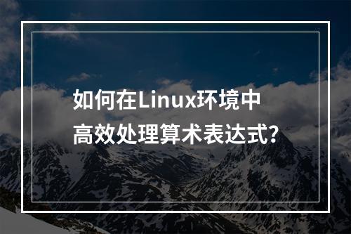 如何在Linux环境中高效处理算术表达式?