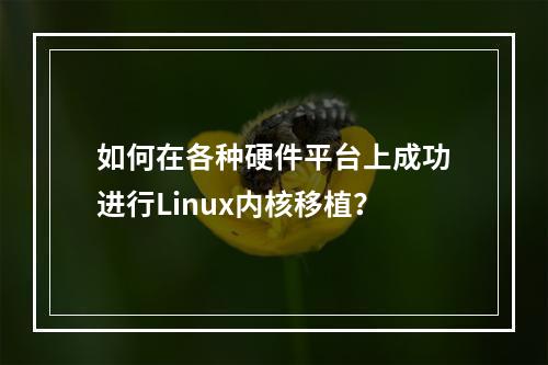 如何在各种硬件平台上成功进行Linux内核移植?