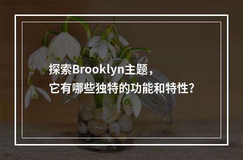 探索Brooklyn主题,它有哪些独特的功能和特性?
