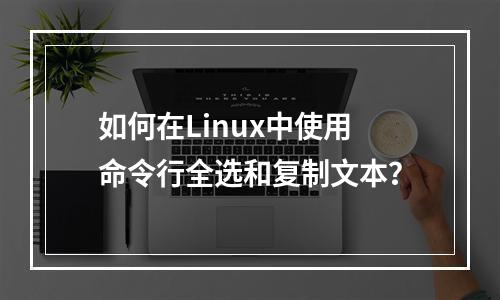 如何在Linux中使用命令行全选和复制文本?