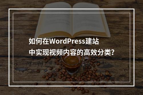 如何在WordPress建站中实现视频内容的高效分类?