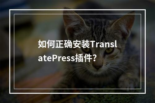 如何正确安装TranslatePress插件?