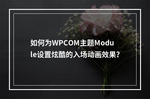 如何为WPCOM主题Module设置炫酷的入场动画效果?
