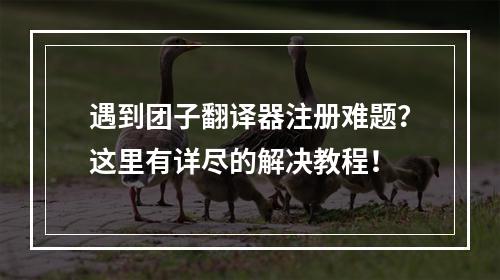 遇到团子翻译器注册难题?这里有详尽的解决教程!