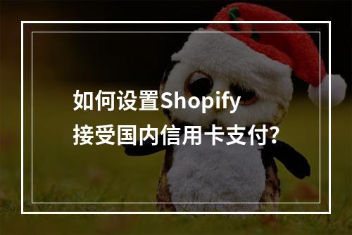 如何设置Shopify接受国内信用卡支付?