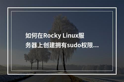 如何在Rocky Linux服务器上创建拥有sudo权限的用户?