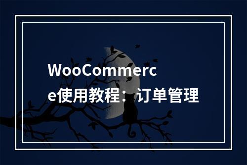 WooCommerce使用教程:订单管理