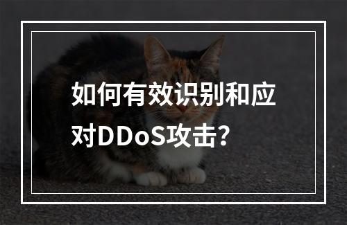 如何有效识别和应对DDoS攻击?