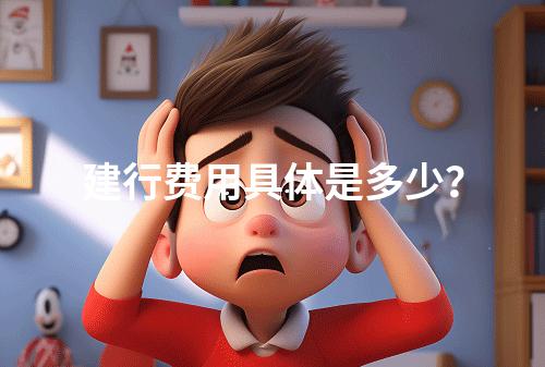 建行费用具体是多少?
