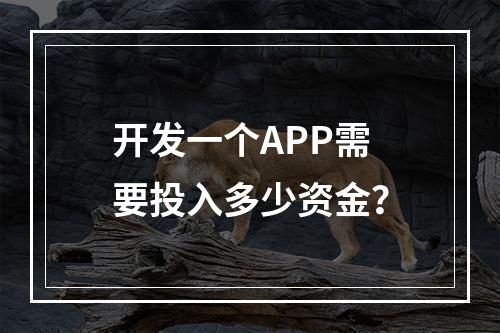 开发一个APP需要投入多少资金?