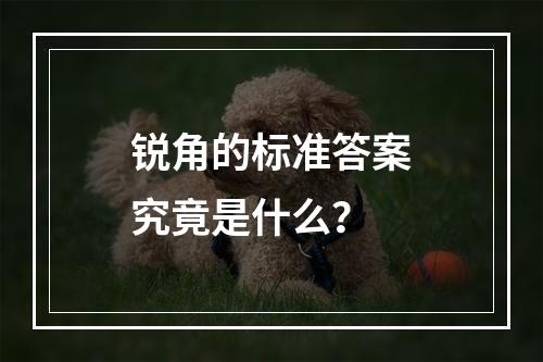 锐角的标准答案究竟是什么?