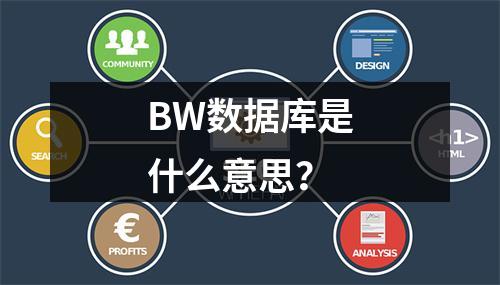 BW数据库是什么意思?