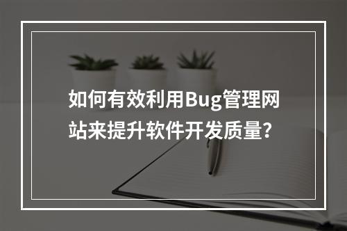 如何有效利用Bug管理网站来提升软件开发质量?