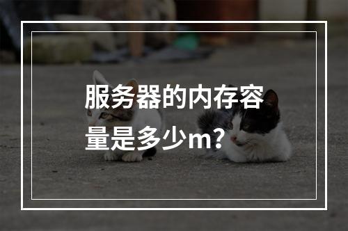 服务器的内存容量是多少m?