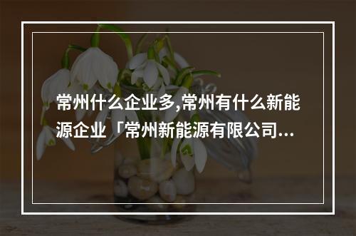 常州什么企业多,常州有什么新能源企业「常州新能源有限公司是国企吗」