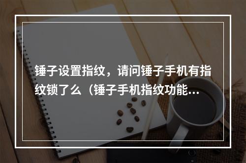 锤子设置指纹,请问锤子手机有指纹锁了么(锤子手机指纹功能消失)