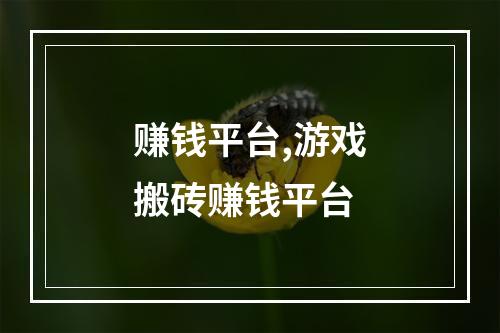 赚钱平台,游戏搬砖赚钱平台