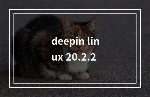 deepin linux 20.2.2