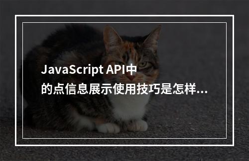 JavaScript API中的点信息展示使用技巧是怎样的