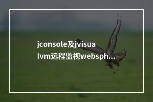 jconsole及jvisualvm远程监视websphere服务器JVM的配置示例分析