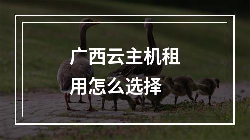 广西云主机租用怎么选择