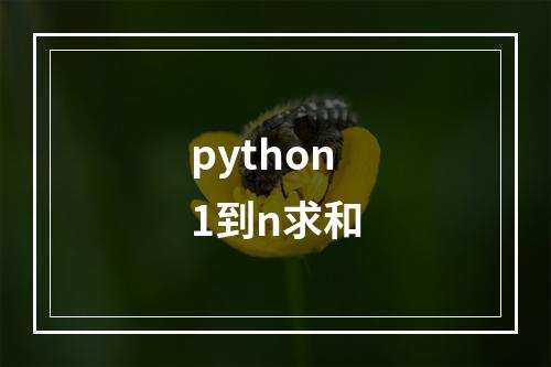 python1到n求和