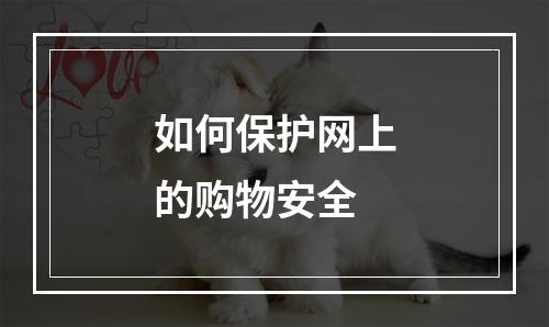 如何保护网上的购物安全
