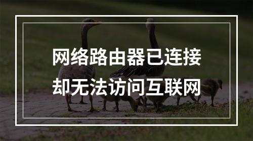 网络路由器已连接却无法访问互联网