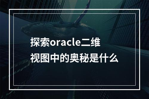探索oracle二维视图中的奥秘是什么