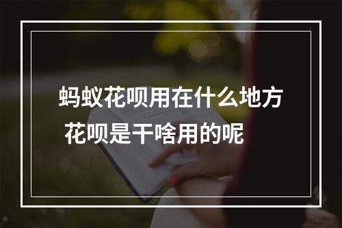蚂蚁花呗用在什么地方 花呗是干啥用的呢