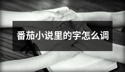 番茄小说里的字怎么调
