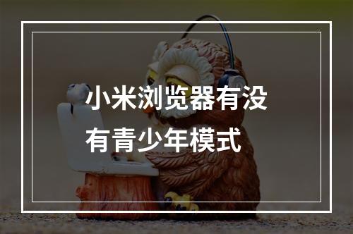 小米浏览器有没有青少年模式