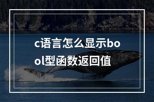 c语言怎么显示bool型函数返回值