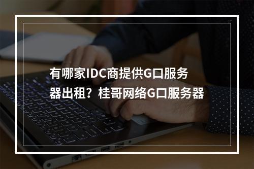 有哪家IDC商提供G口服务器出租?桂哥网络G口服务器